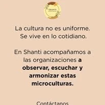 Cultura y microculturas organizacionales